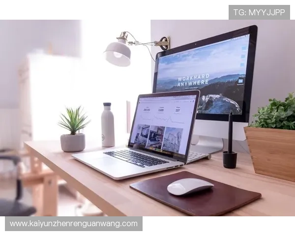 开云真人版全站登录：提升用户体验的核心功能介绍