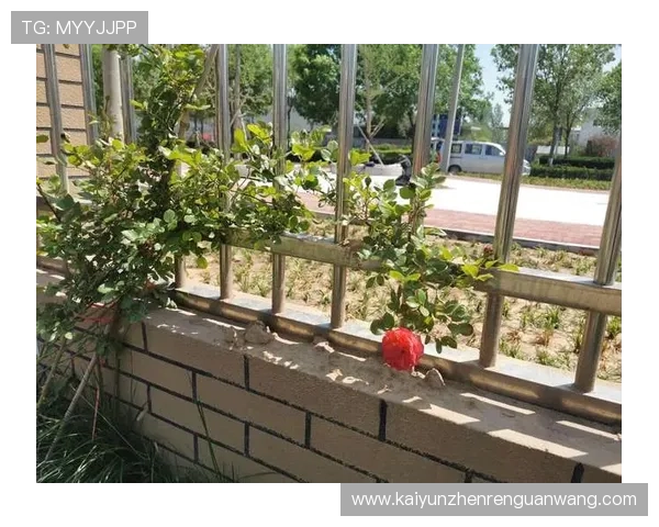 开云线上开户简便流程详解助你快速开启奢华购物新体验