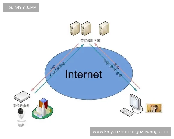 开云网娱乐如何通过技术创新提升用户体验与内容品质