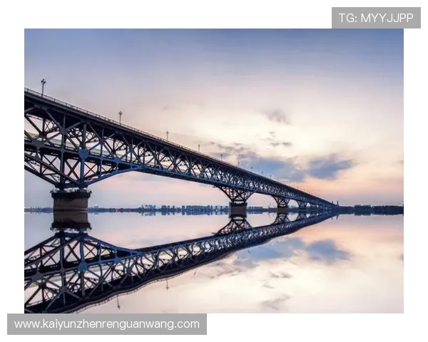 开云集团官网的成功案例与行业标杆作用的深入剖析