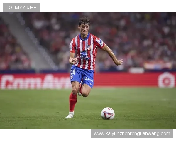 开云app网页版赞助勒沃库森的合作模式对其他体育俱乐部的借鉴意义与行业影响